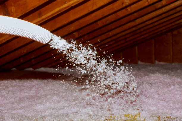  Hanapepe, HI Insulation Contractor Pros