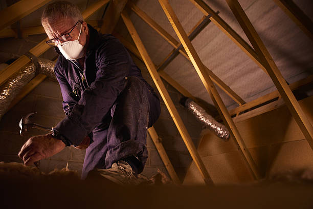 Best Insulation Installation Services in Hanapepe, HI