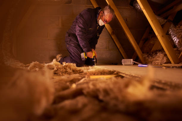 Best Insulation for Specific Applications in Hanapepe, HI